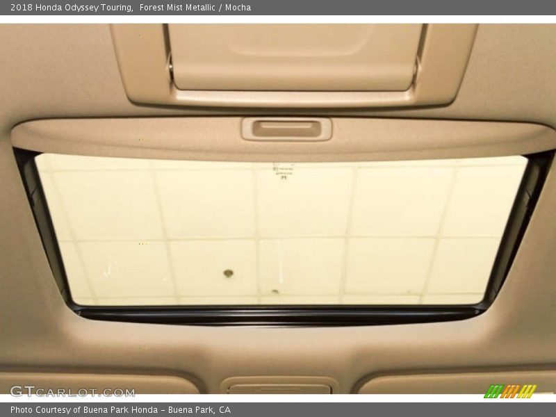 Forest Mist Metallic / Mocha 2018 Honda Odyssey Touring