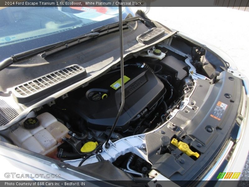 White Platinum / Charcoal Black 2014 Ford Escape Titanium 1.6L EcoBoost