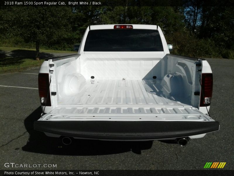 Bright White / Black 2018 Ram 1500 Sport Regular Cab