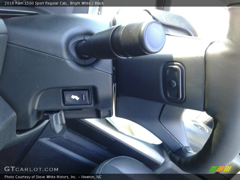 Bright White / Black 2018 Ram 1500 Sport Regular Cab