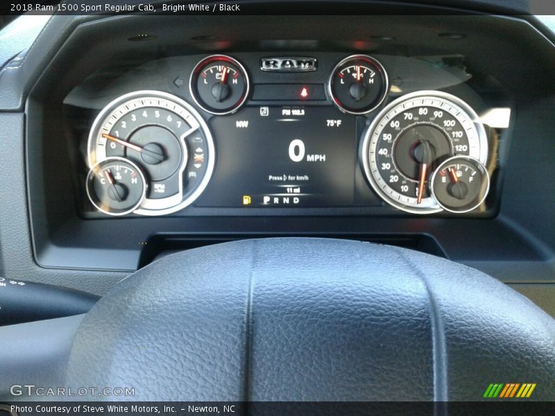  2018 1500 Sport Regular Cab Sport Regular Cab Gauges