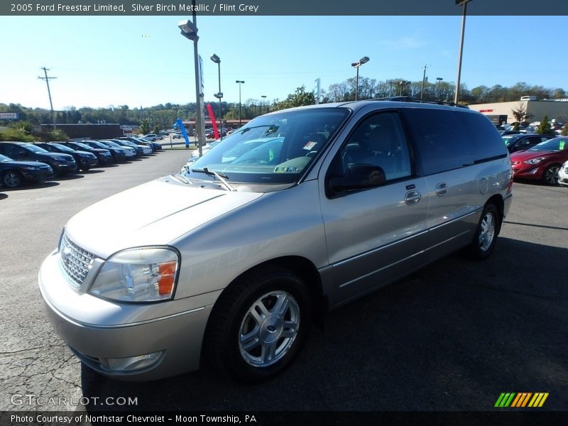Silver Birch Metallic / Flint Grey 2005 Ford Freestar Limited