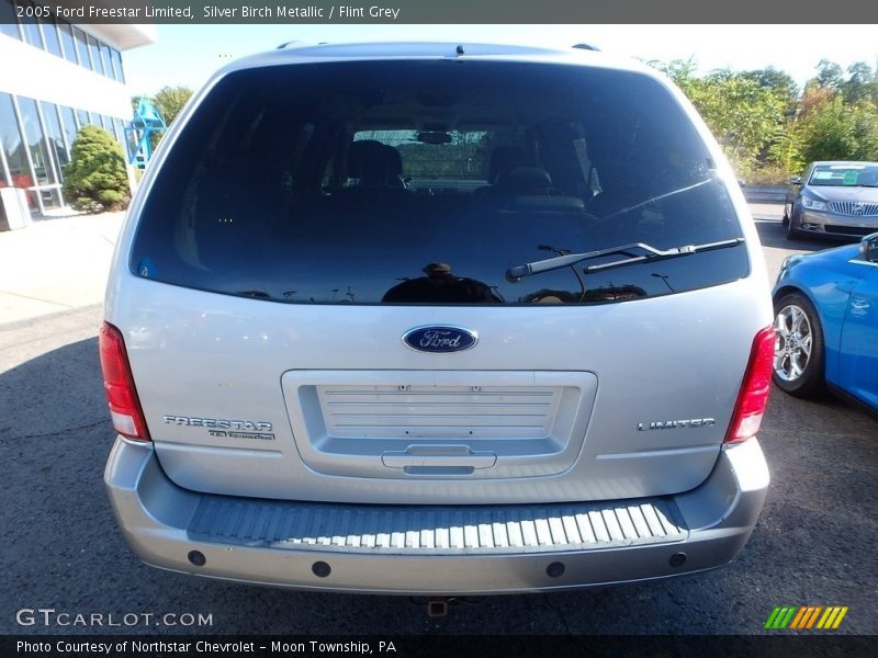 Silver Birch Metallic / Flint Grey 2005 Ford Freestar Limited
