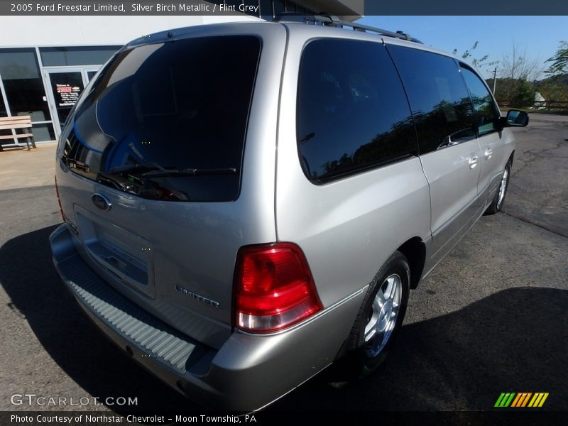 Silver Birch Metallic / Flint Grey 2005 Ford Freestar Limited