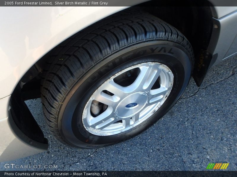 Silver Birch Metallic / Flint Grey 2005 Ford Freestar Limited