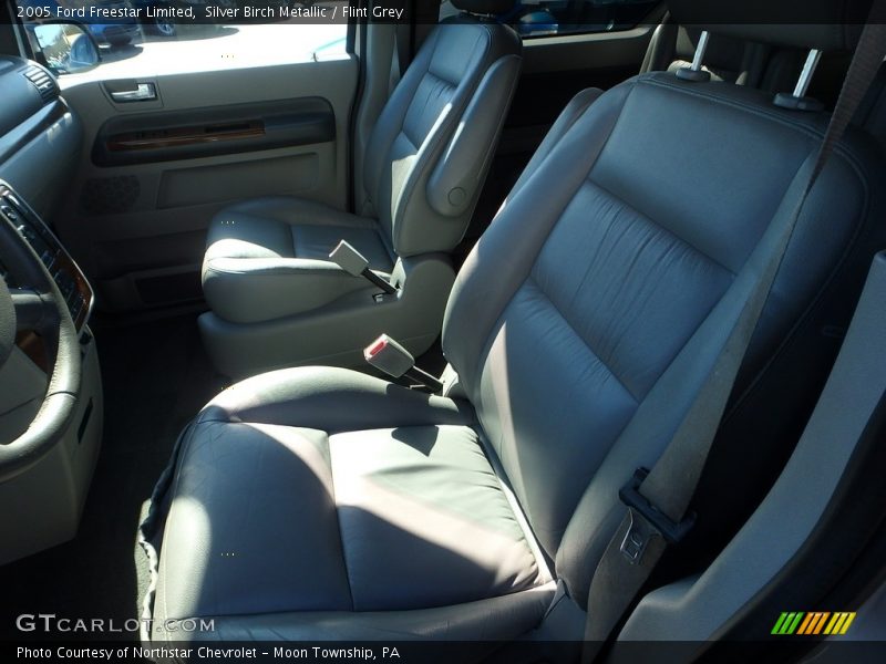 Silver Birch Metallic / Flint Grey 2005 Ford Freestar Limited