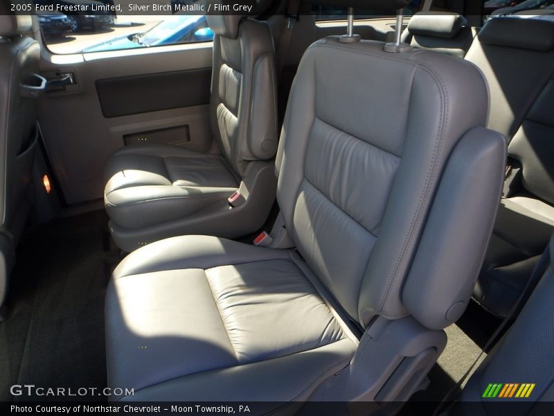 Silver Birch Metallic / Flint Grey 2005 Ford Freestar Limited