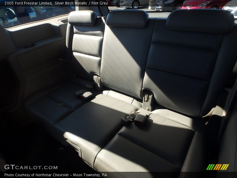 Silver Birch Metallic / Flint Grey 2005 Ford Freestar Limited