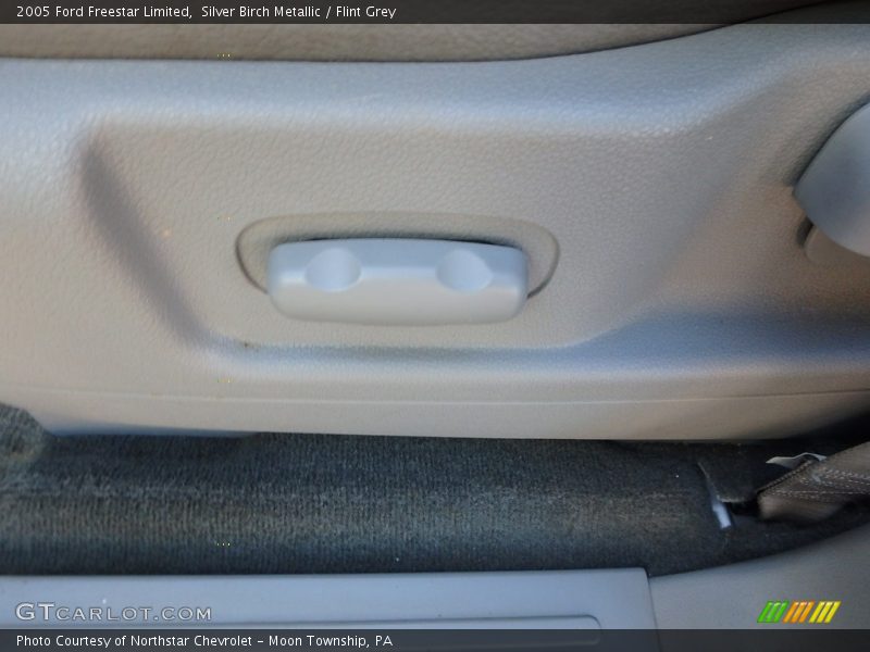 Silver Birch Metallic / Flint Grey 2005 Ford Freestar Limited