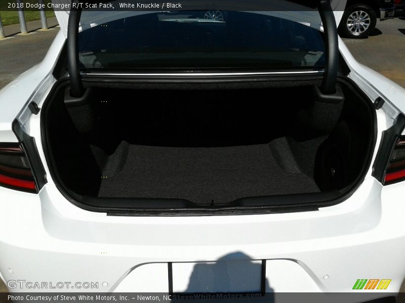White Knuckle / Black 2018 Dodge Charger R/T Scat Pack