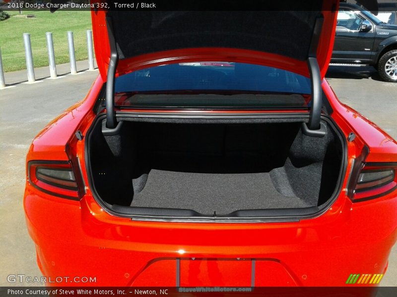 Torred / Black 2018 Dodge Charger Daytona 392