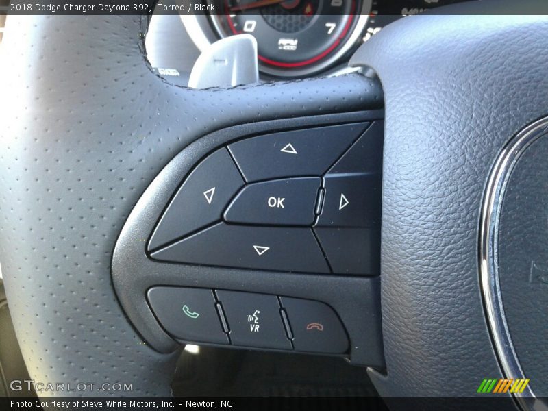 Torred / Black 2018 Dodge Charger Daytona 392