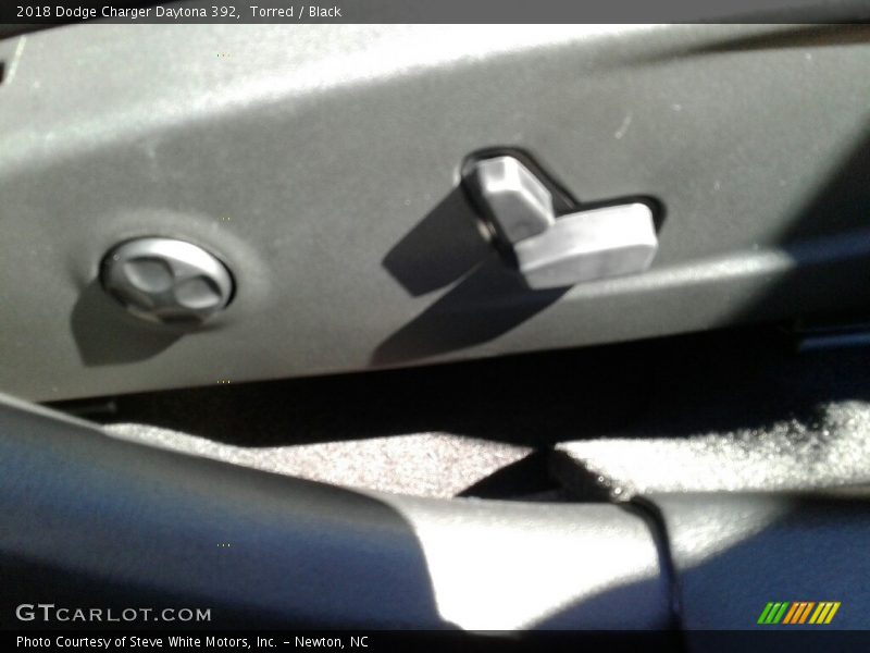 Torred / Black 2018 Dodge Charger Daytona 392