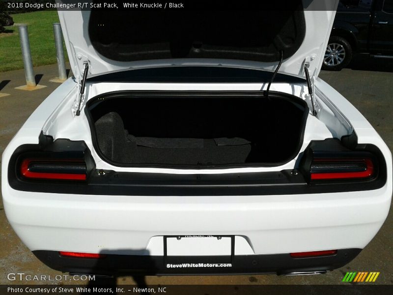 White Knuckle / Black 2018 Dodge Challenger R/T Scat Pack