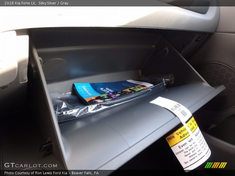 Silky Silver / Gray 2018 Kia Forte LX