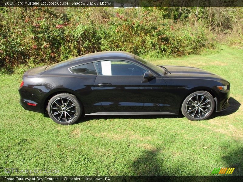Shadow Black / Ebony 2016 Ford Mustang EcoBoost Coupe