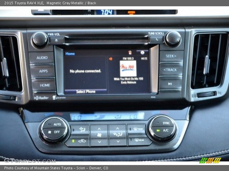 Magnetic Gray Metallic / Black 2015 Toyota RAV4 XLE