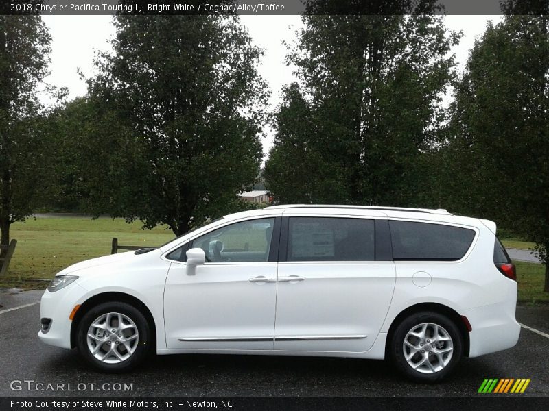 Bright White / Cognac/Alloy/Toffee 2018 Chrysler Pacifica Touring L