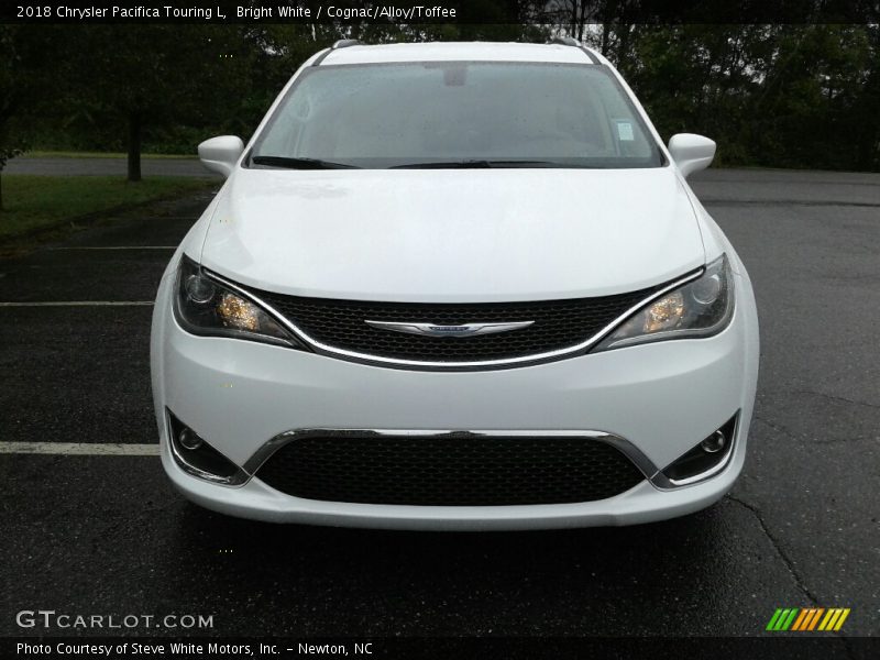 Bright White / Cognac/Alloy/Toffee 2018 Chrysler Pacifica Touring L