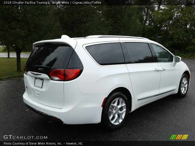Bright White / Cognac/Alloy/Toffee 2018 Chrysler Pacifica Touring L