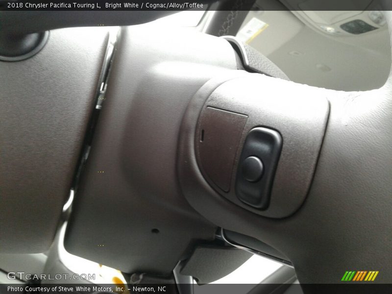 Bright White / Cognac/Alloy/Toffee 2018 Chrysler Pacifica Touring L