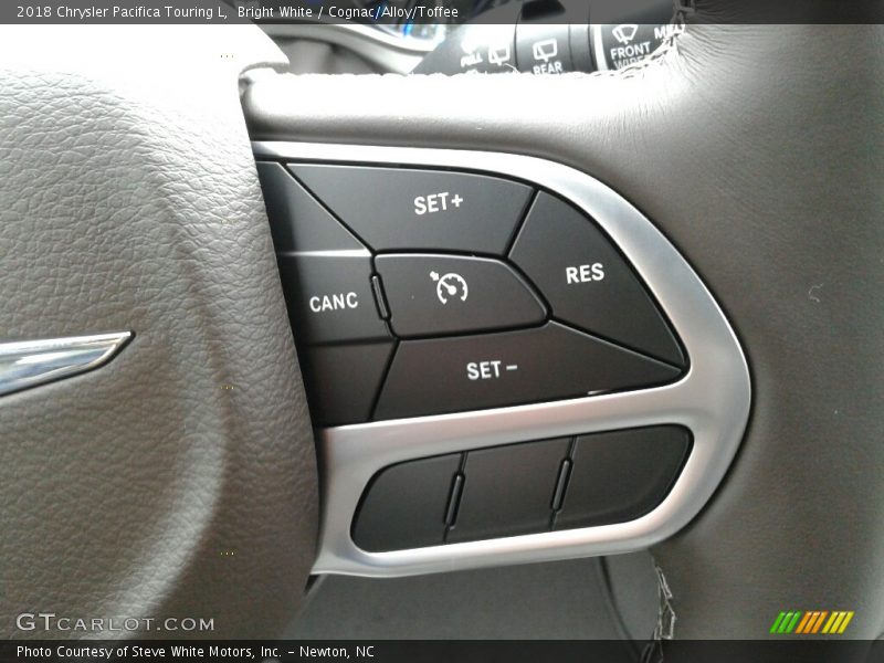 Bright White / Cognac/Alloy/Toffee 2018 Chrysler Pacifica Touring L