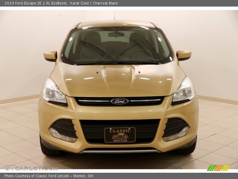 Karat Gold / Charcoal Black 2014 Ford Escape SE 1.6L EcoBoost