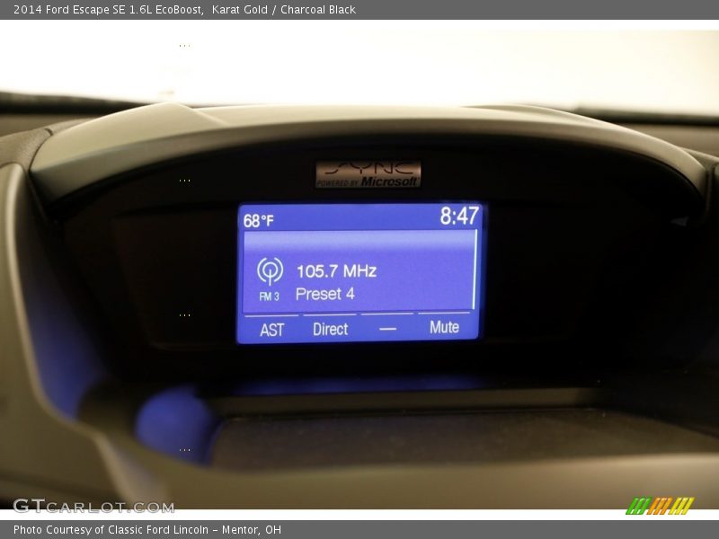 Karat Gold / Charcoal Black 2014 Ford Escape SE 1.6L EcoBoost
