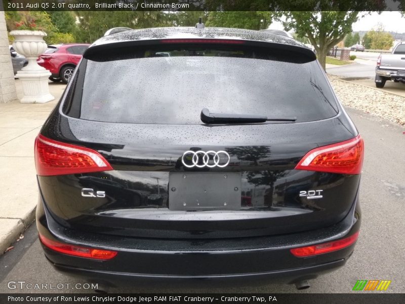 Brilliant Black / Cinnamon Brown 2011 Audi Q5 2.0T quattro