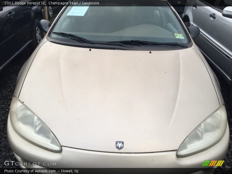 Champagne Pearl / Sandstone 2001 Dodge Intrepid SE