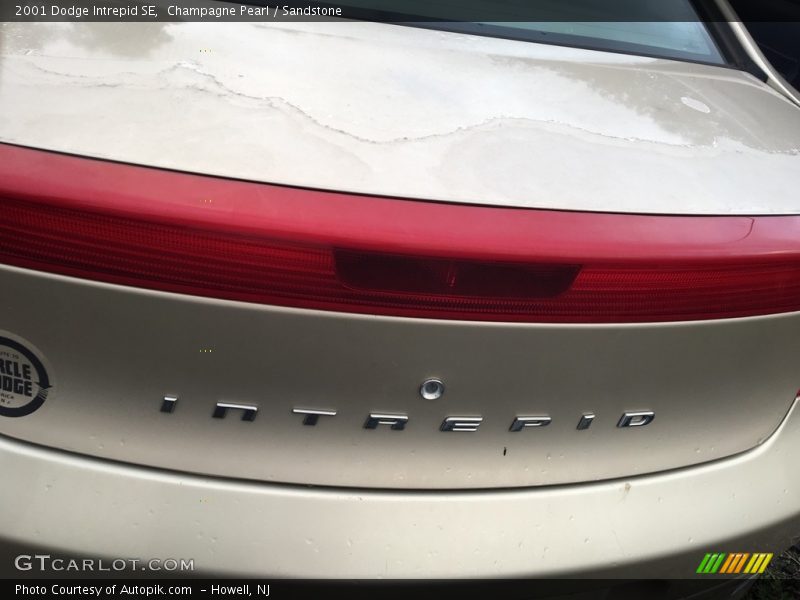 Champagne Pearl / Sandstone 2001 Dodge Intrepid SE