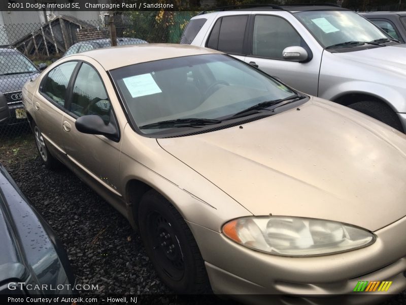Champagne Pearl / Sandstone 2001 Dodge Intrepid SE