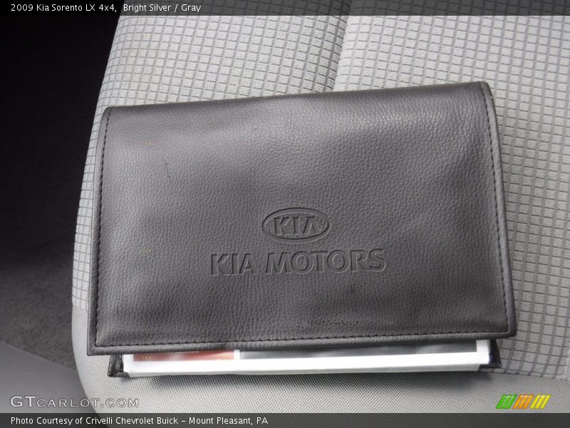 Bright Silver / Gray 2009 Kia Sorento LX 4x4