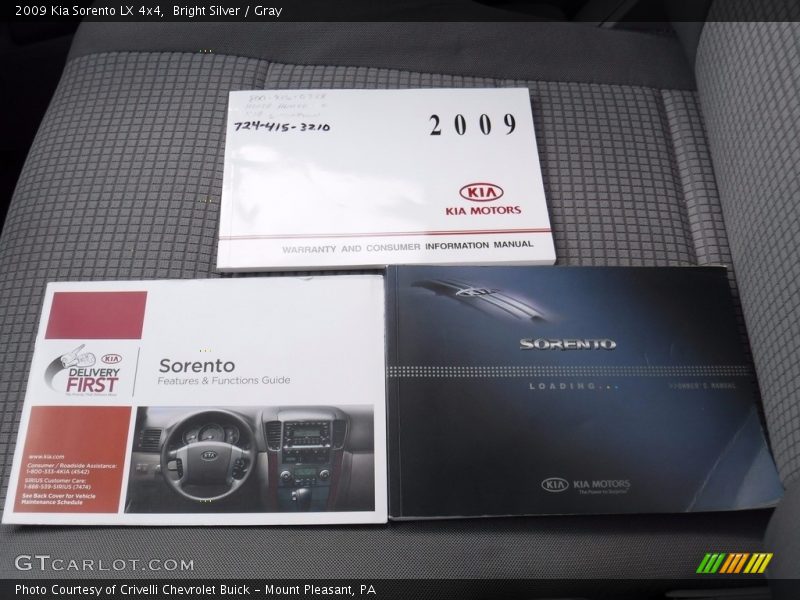 Bright Silver / Gray 2009 Kia Sorento LX 4x4