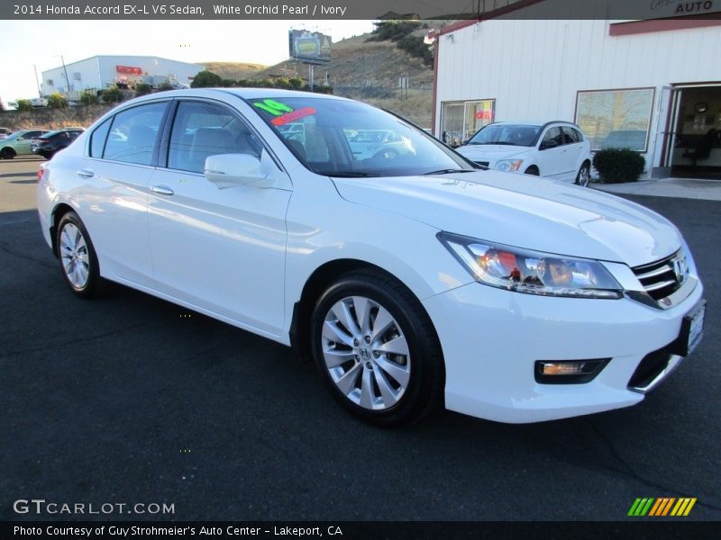 White Orchid Pearl / Ivory 2014 Honda Accord EX-L V6 Sedan