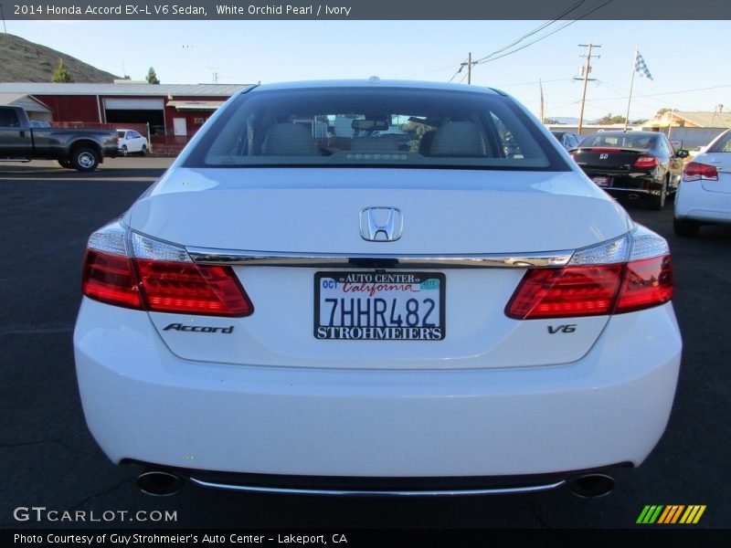 White Orchid Pearl / Ivory 2014 Honda Accord EX-L V6 Sedan