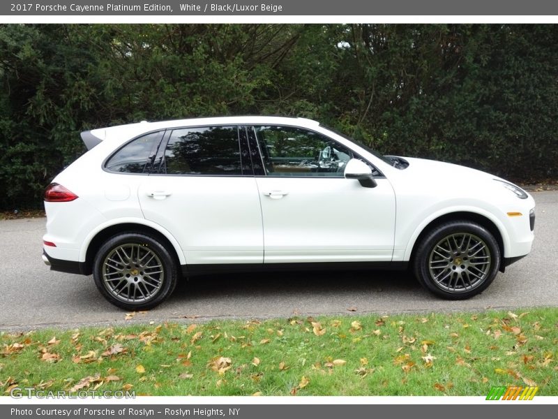 White / Black/Luxor Beige 2017 Porsche Cayenne Platinum Edition