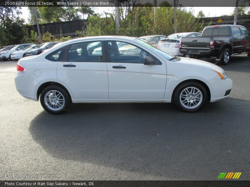 White Suede / Charcoal Black 2010 Ford Focus SE Sedan