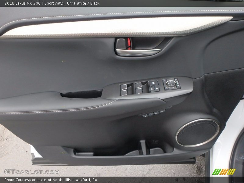 Door Panel of 2018 NX 300 F Sport AWD
