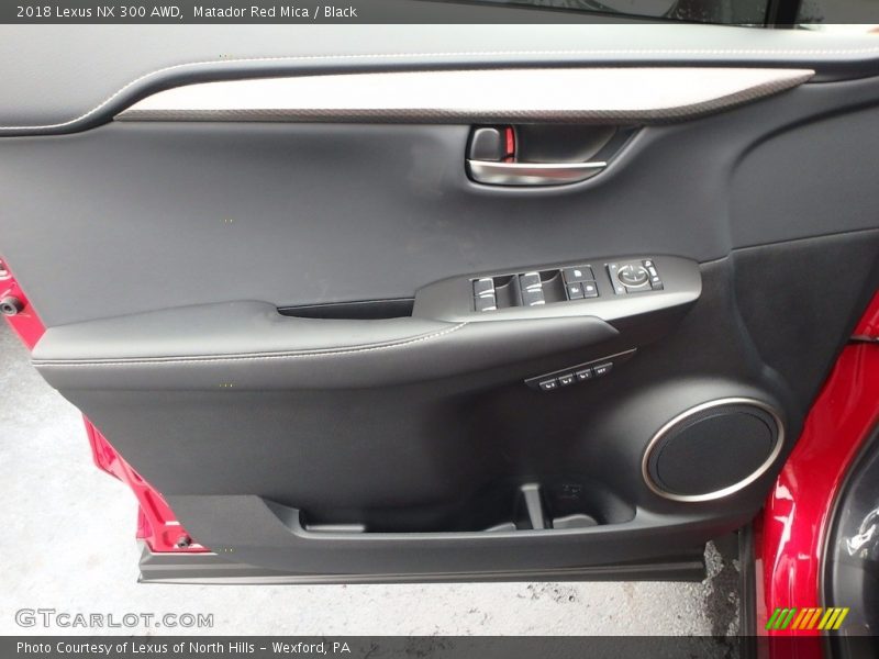 Door Panel of 2018 NX 300 AWD