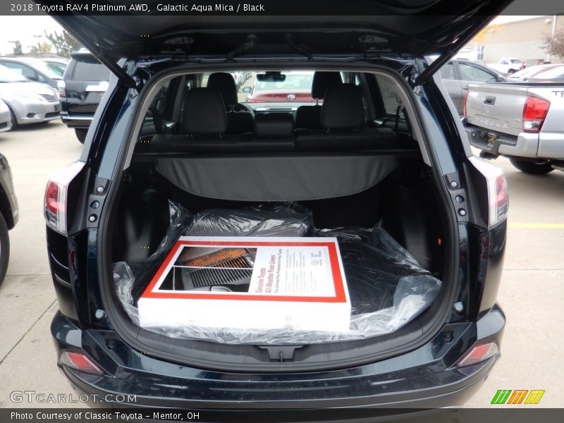 Galactic Aqua Mica / Black 2018 Toyota RAV4 Platinum AWD