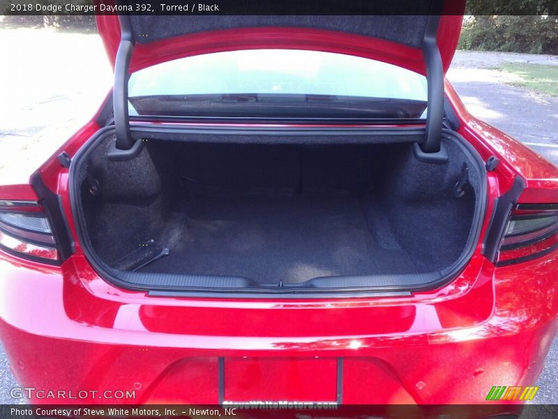Torred / Black 2018 Dodge Charger Daytona 392