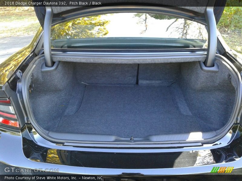 Pitch Black / Black 2018 Dodge Charger Daytona 392