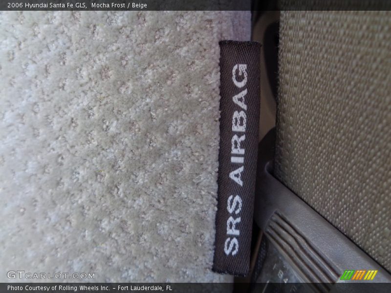 Mocha Frost / Beige 2006 Hyundai Santa Fe GLS