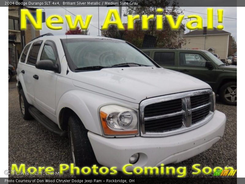 Brilliant Silver Metallic / Medium Slate Gray 2004 Dodge Durango SLT 4x4