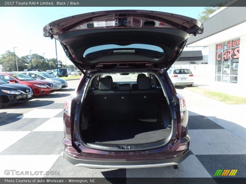 Black / Black 2017 Toyota RAV4 Limited