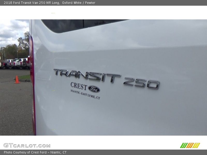 Oxford White / Pewter 2018 Ford Transit Van 250 MR Long