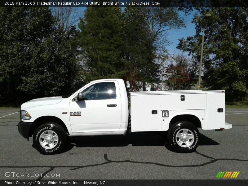 Bright White / Black/Diesel Gray 2018 Ram 2500 Tradesman Regular Cab 4x4 Utility