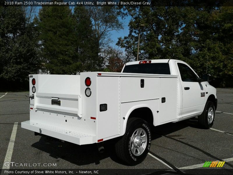 Bright White / Black/Diesel Gray 2018 Ram 2500 Tradesman Regular Cab 4x4 Utility