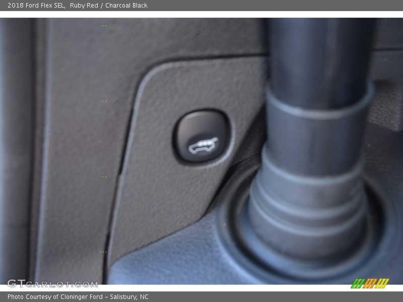Ruby Red / Charcoal Black 2018 Ford Flex SEL